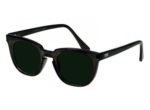 Phillips Solar Eclipse Glasses Shade 14